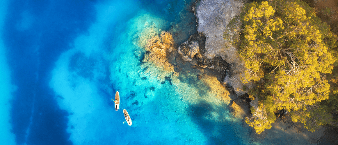 Sustainability Progress Report